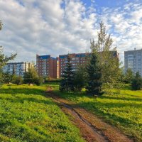 Дорога к дому :: Василий 