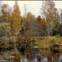 Прекрасная пора... :: Aleksandr Gal