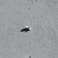 ... :: Денис Безногов