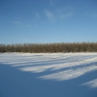 На острове :: Anna Ivanova На острове :: Anna Ivanova