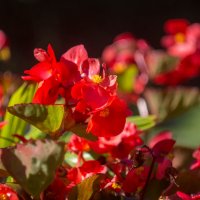 ___ :: Yuriy V ___ :: Yuriy V