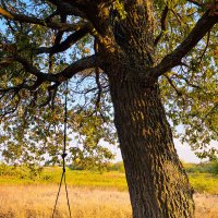 *** :: Игорь Чичиль