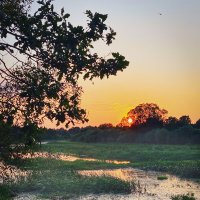 *** :: Игорь Чичиль *** :: Игорь Чичиль