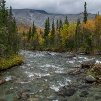 На излучине....... :: Юрий Цыплятников