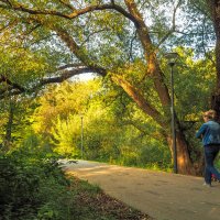 ***** :: юрий поляков