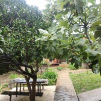 В Новом Афоне :: Ирэн В Новом Афоне :: Ирэн