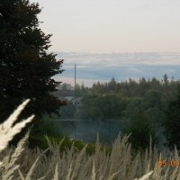 Туман на речке :: fogmeadowww m