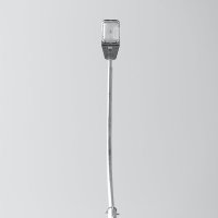 ... :: Денис Безногов