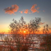 *** :: Сергей Григорьев *** :: Сергей Григорьев