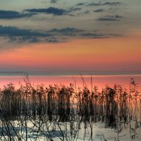 *** :: Сергей Григорьев