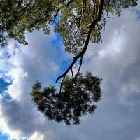 За солнцем :: Алексей Ильичёв За солнцем :: Алексей Ильичёв