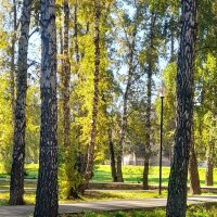 Осенний парк . :: Мила Бовкун Осенний парк . :: Мила Бовкун