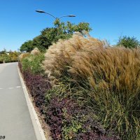 В ростовском экопарке Первая миля :: Нина Бутко