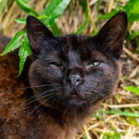 Что надо, а это ты... :: Владимир Иванович