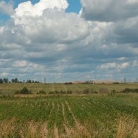 Картофельные поля :: Наталья Лунева 