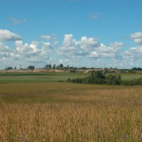 Просторы Вологодчины :: Наталья Лунева Просторы Вологодчины :: Наталья Лунева
