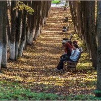Осень в парке :: Aquarius - Сергей