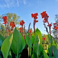 Канны. :: Лия ☼ Канны. :: Лия ☼