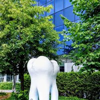 Вспомним лето ) :: Veera V