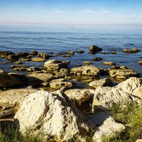 Берег :: Анатолий Чикчирный