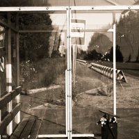 ... :: Денис Безногов