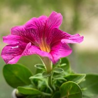 3948 :: Alex . 3948 :: Alex .