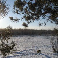 На острове :: Anna Ivanova