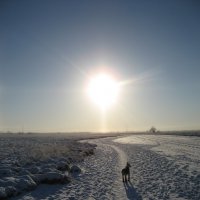 Утро :: Anna Ivanova Утро :: Anna Ivanova