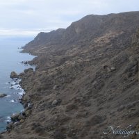 Природа Крыма :: Amazing Cosmea