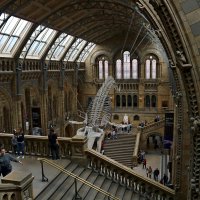 В музее Естествознания :: Ольга 