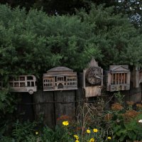 Вечер в парке :: Ольга 