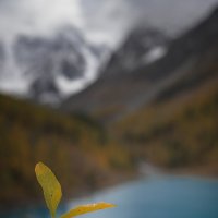 * :: Александр Иванов