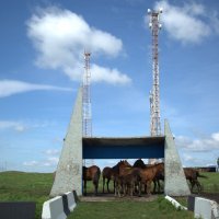 Остров Ольхон :: Танзиля Завьялова
