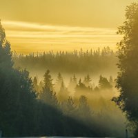 ..там чудеса,там леший бродит.... :: Ольга Cоломатина