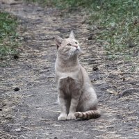 ** :: Зоя Мишина