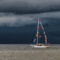 Про Питер :: Владимир Колесников