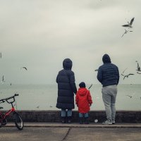 В гостях у чаек. :: Анатолий Щербак