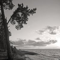 *** :: Сергей Григорьев *** :: Сергей Григорьев