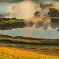 misty morning :: Elena Wymann misty morning :: Elena Wymann