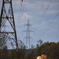 Пара на прогулке :: Александр Морозов