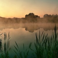 misty morning :: Elena Wymann