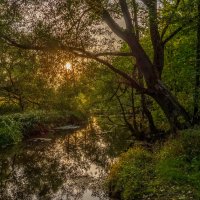 Цвет осени 2 :: Андрей Дворников Цвет осени 2 :: Андрей Дворников