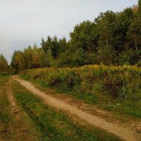 Место, в котором всегда 1 мая :: Андрей Лукьянов