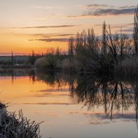 Весенний вечер :: Константин Бобинский