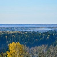 - :: Владимир Мигонькин - :: Владимир Мигонькин