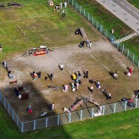 Собачья ярмарка тщеславия,,,) :: Анатолий Колосов Собачья ярмарка тщеславия,,,) :: Анатолий Колосов