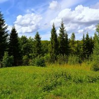 Чебоксары. Овраг в Ботаническом саду. :: Пётр Чернега