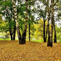 КОЛОМЕНСКОЕ :: АЛЕКСАНДР 