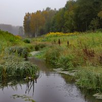 Осень :: краснов юрий 