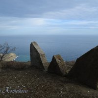 Природа Крыма :: Amazing Cosmea